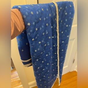 Blue and silver work net sari